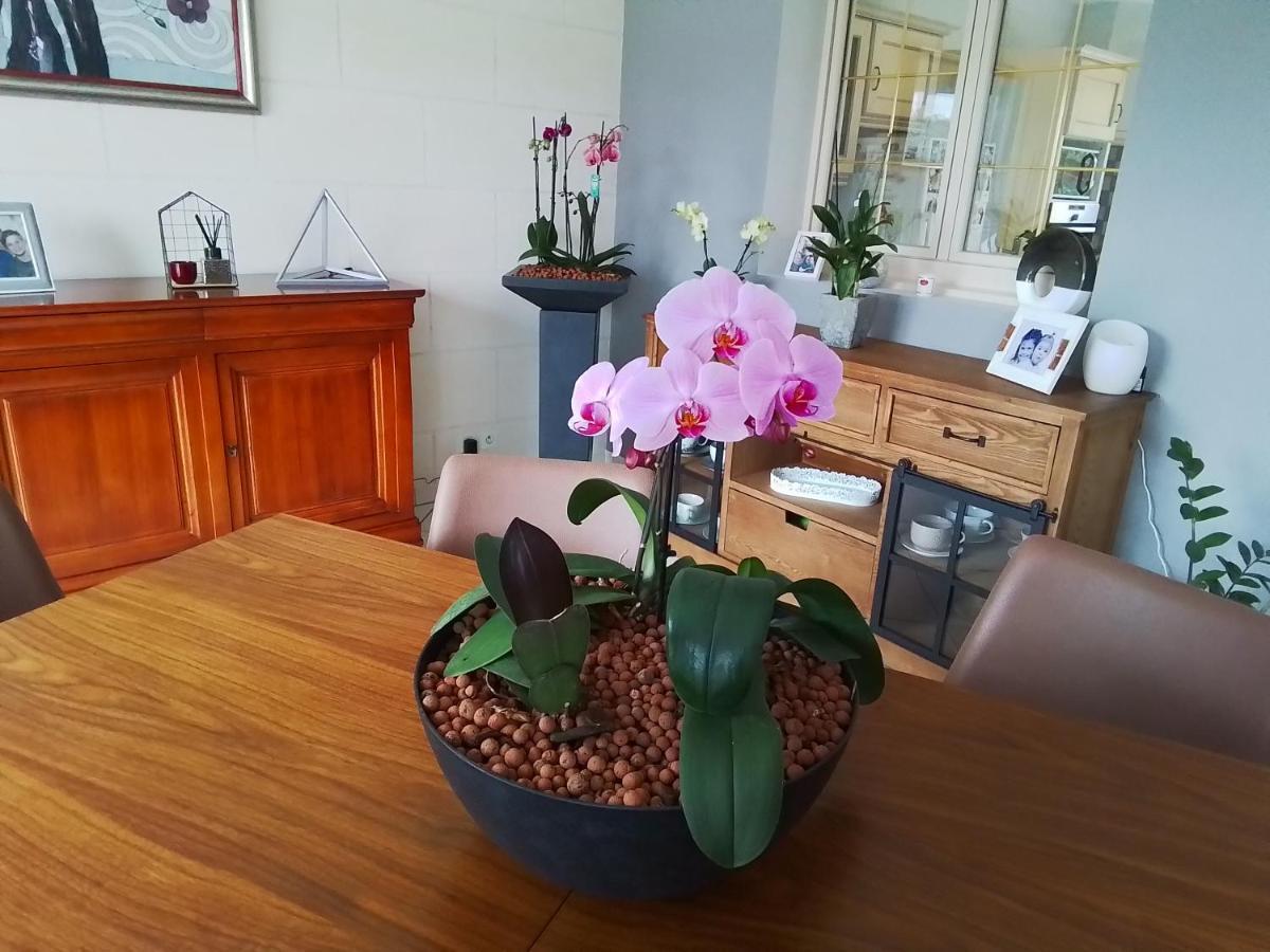 Au Detour Des Orchidees Appartement Artannes-sur-Indre Buitenkant foto